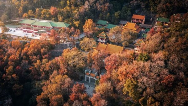 国鸣投资 老广最离不开的小城，一到秋天全城飘香