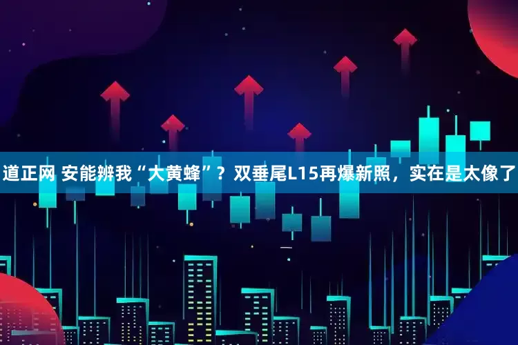 道正网 安能辨我“大黄蜂”？双垂尾L15再爆新照，实在是太像了